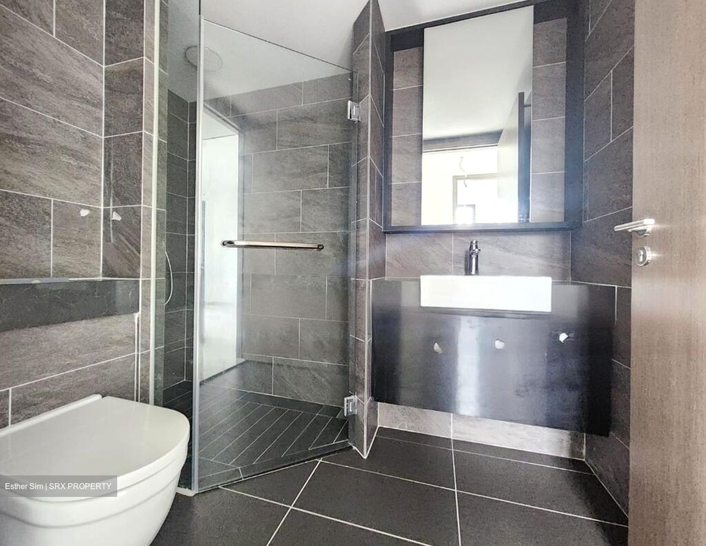 Affinity At Serangoon (D19), Apartment #565623611